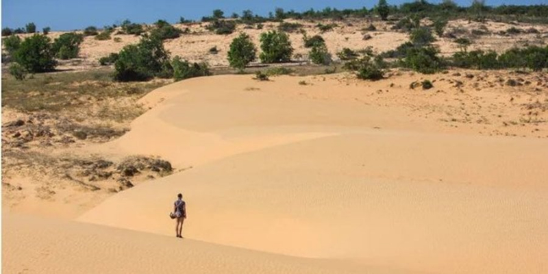 Несподівано. Зовсім скоро Велика індійська пустеля зникне